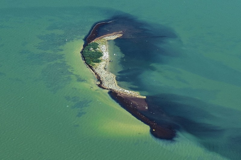 Coastal_MarineEnvr Corpus Christi Bay shoals in TX. Photo by Ted Auch.