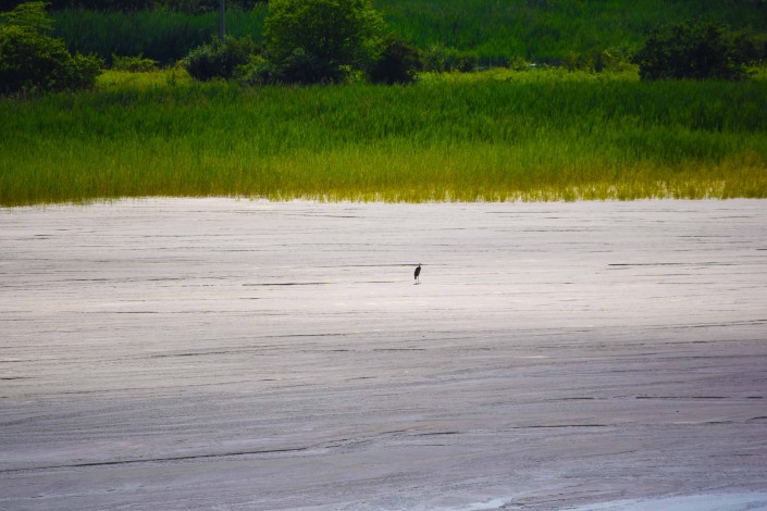 Fairmount_ManleyBros_ReclaimedPond_Photoshop2