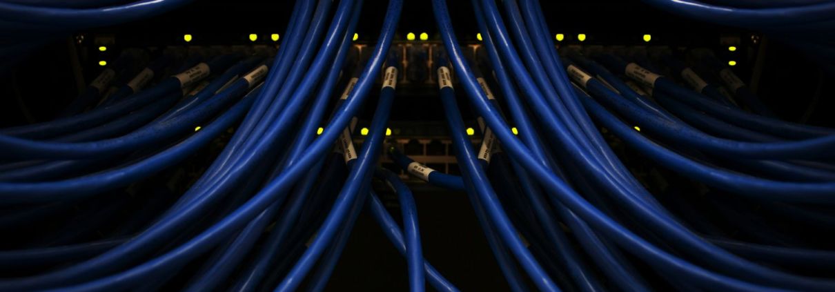 Close-up of blue Ethernet cables plugged into a network switch, with indicator lights glowing, inside a data center server rack.