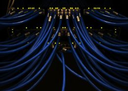 Close-up of blue Ethernet cables plugged into a network switch, with indicator lights glowing, inside a data center server rack.